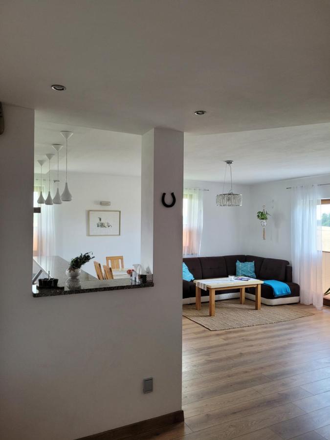 Agroturystyka Kaszuby Villagehome Borzytuchom ภายนอก รูปภาพ