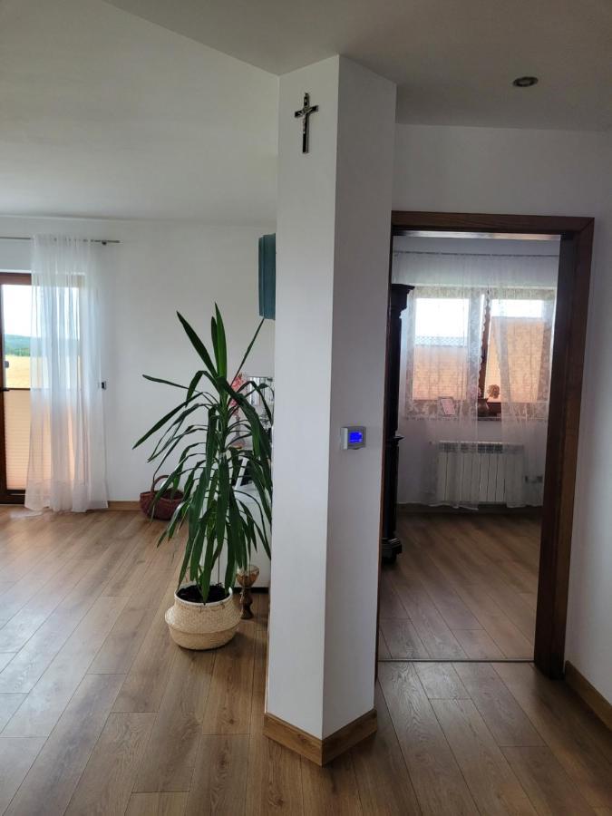 Agroturystyka Kaszuby Villagehome Borzytuchom ภายนอก รูปภาพ